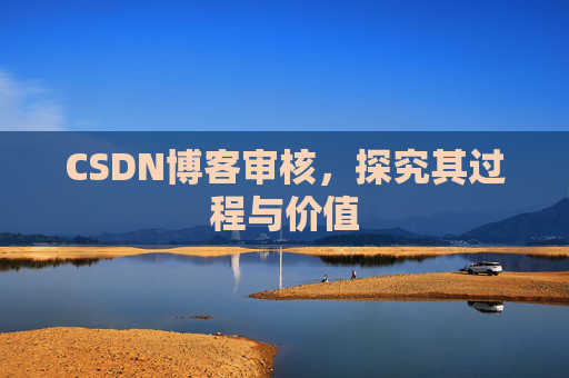 CSDN博客审核，探究其过程与价值